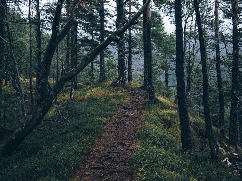 Chalet con jardín y piscina privada — L'Escala, Costa Brava