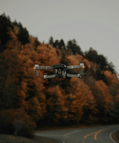 clay-banks-lQL1_xDG9jg-unsplash
